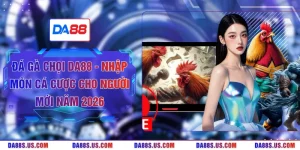 Đá Gà Chọi DA88 - Nhập Môn Cá Cược Cho Người Mới Năm 2026
