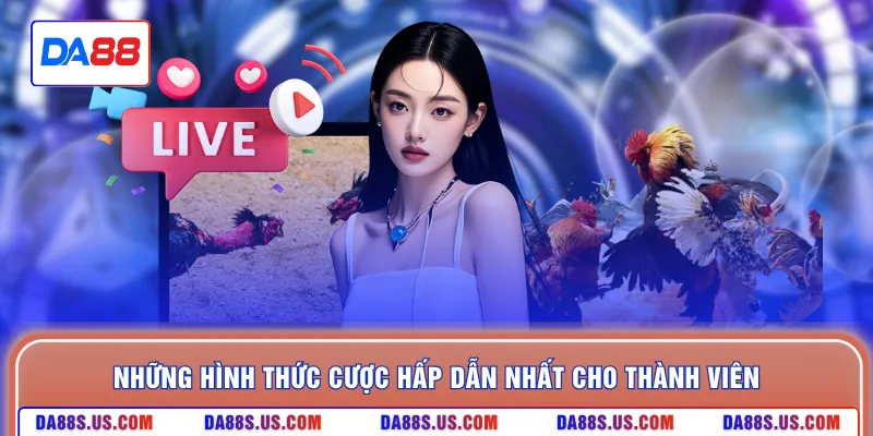 Những hình thức cược hấp dẫn nhất cho thành viên