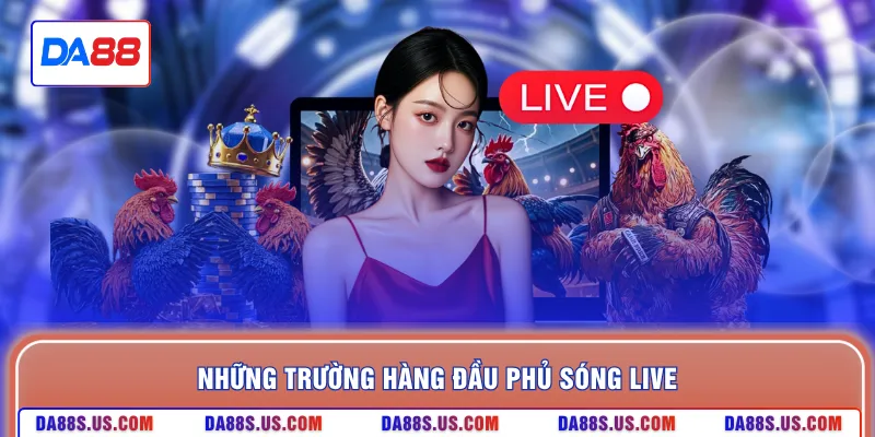 Những trường hàng đầu phủ sóng live